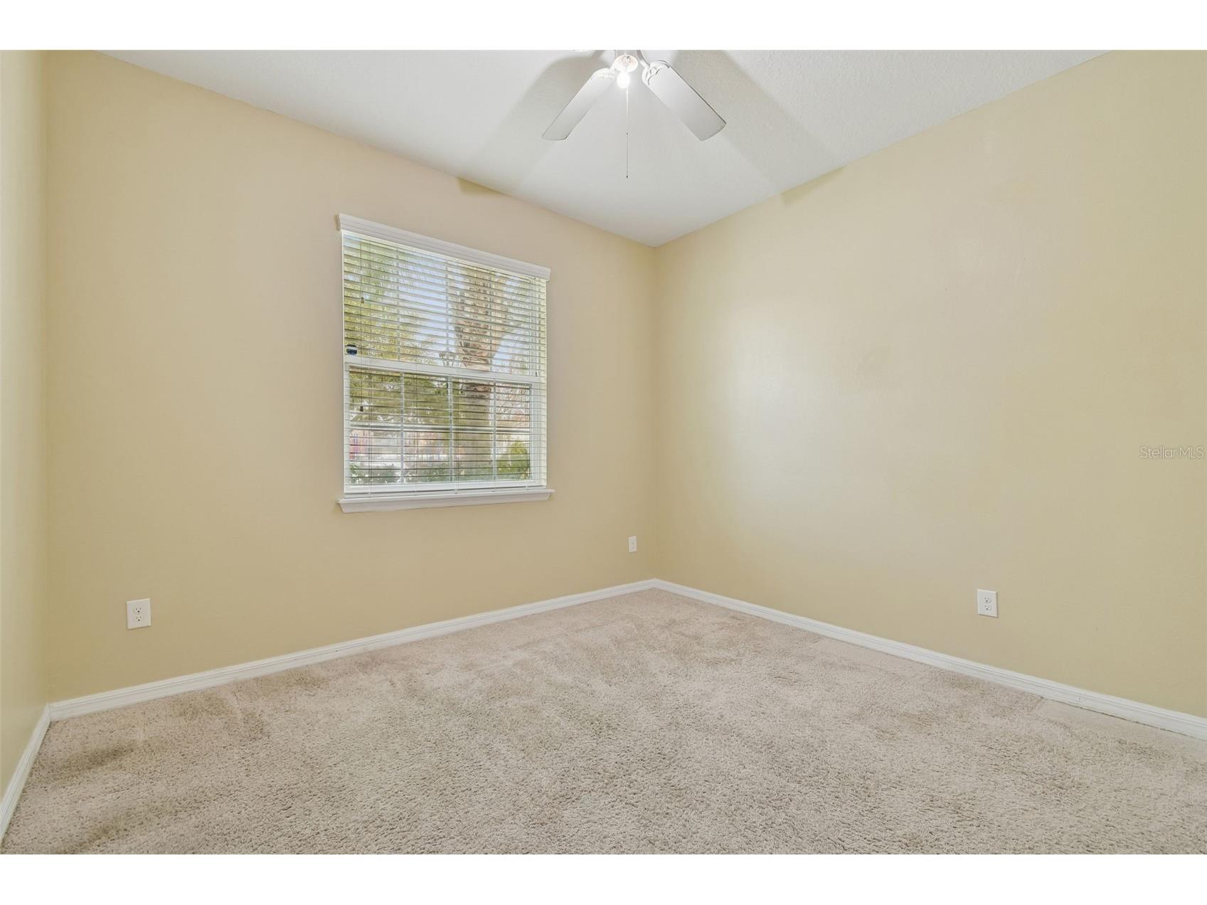 10507 Avian Forrest Drive Riverview FL 33578 TB8477215 image23