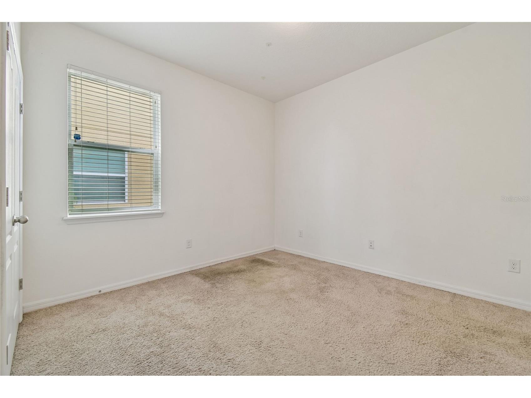 10507 Avian Forrest Drive Riverview FL 33578 TB8477215 image25