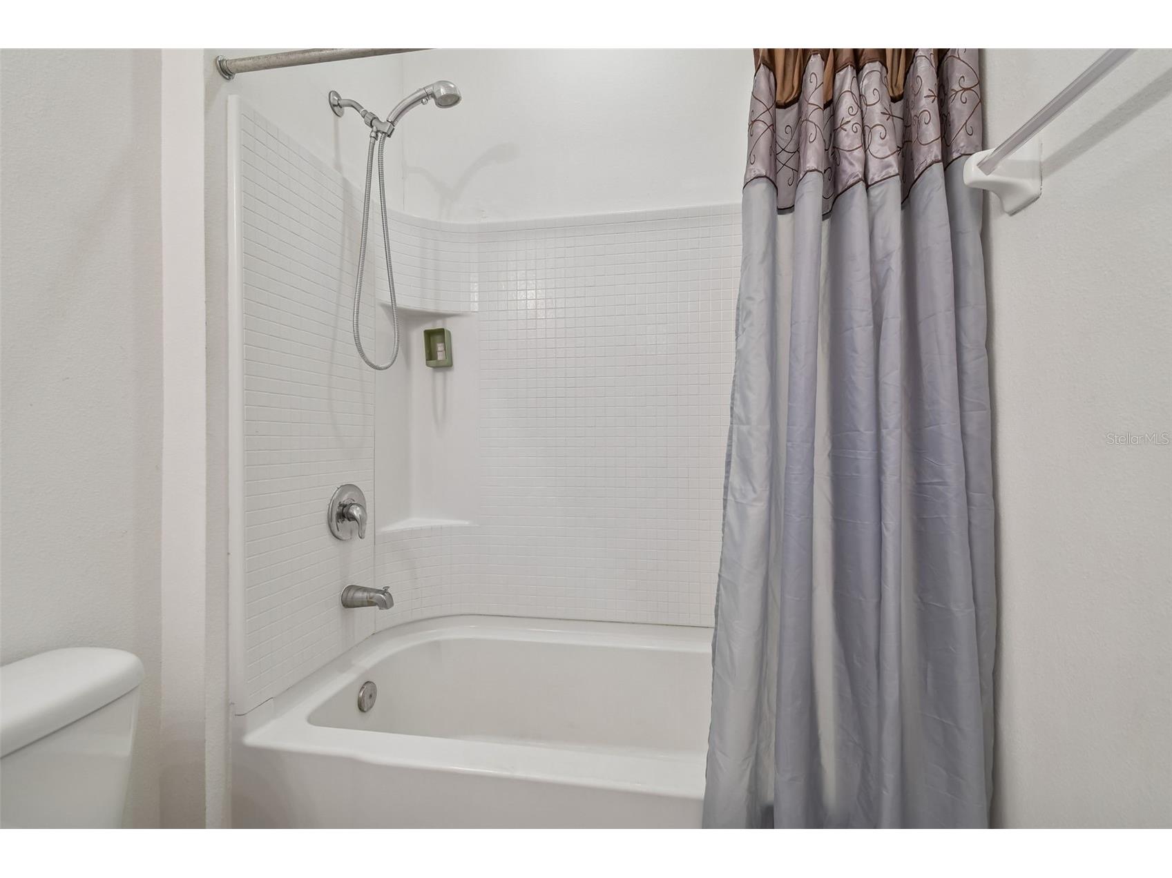 10507 Avian Forrest Drive Riverview FL 33578 TB8477215 image29