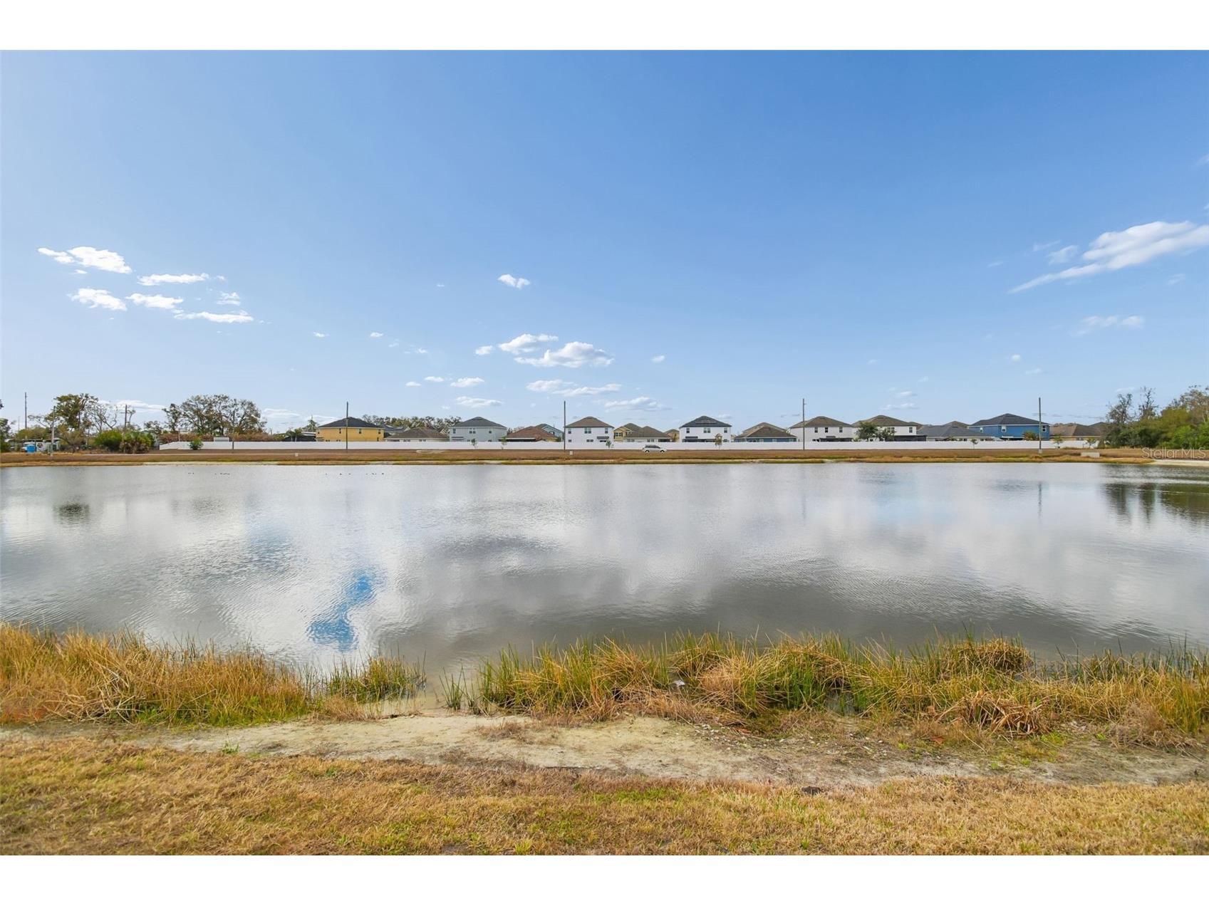 10507 Avian Forrest Drive Riverview FL 33578 TB8477215 image44