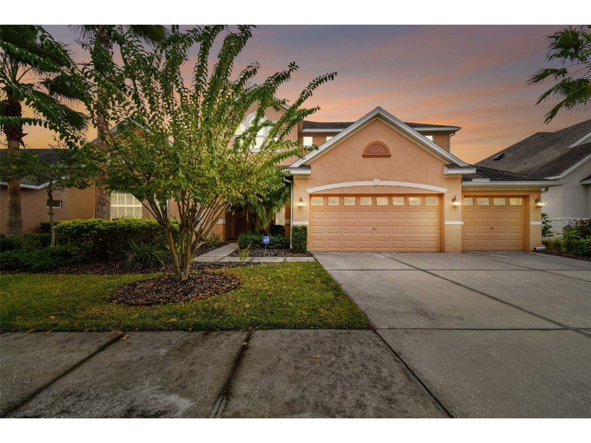 10507 Mistflower Lane Tampa FL 33647 T3479152 image1