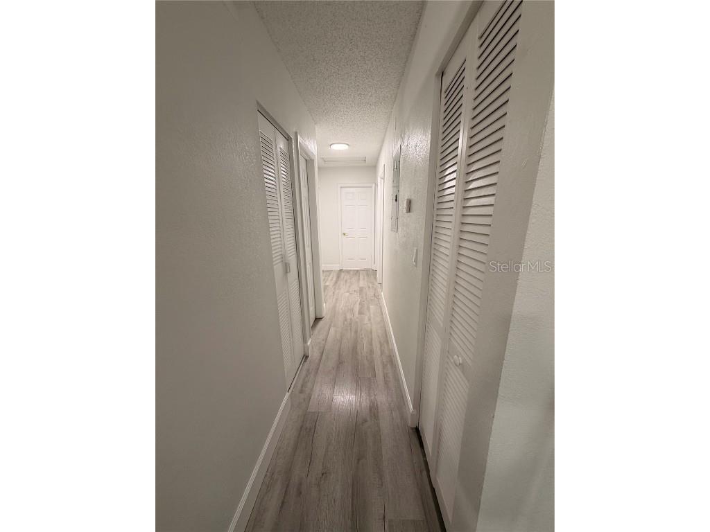 10507 Parkcrest Drive Tampa FL 33624 TB8454343 image12