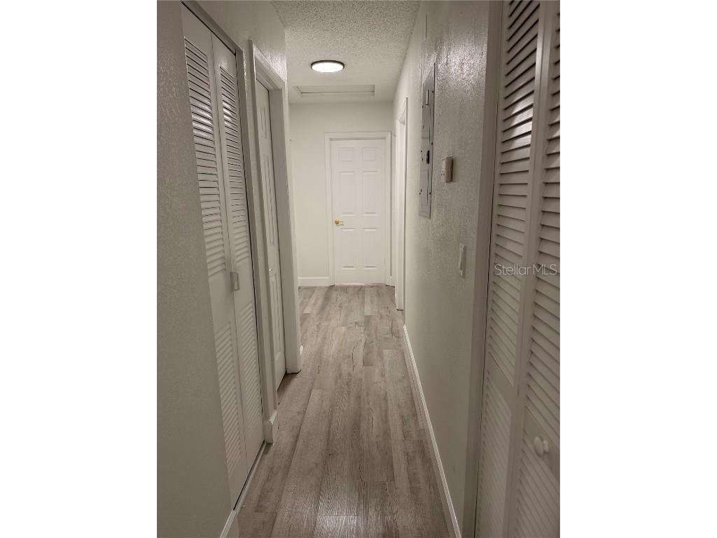 10507 Parkcrest Drive Tampa FL 33624 TB8454343 image13