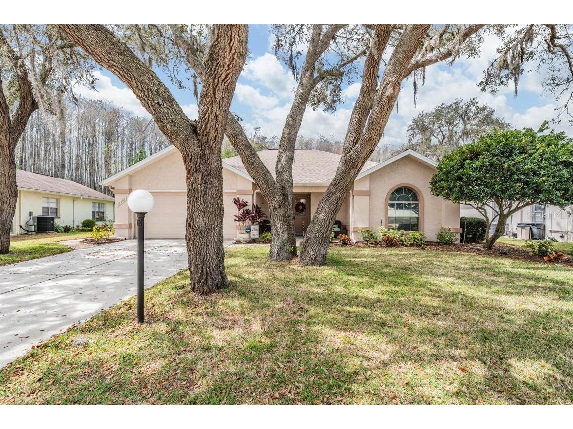 10507 Quimby Drive Port Richey FL 34668 T3509157 image1