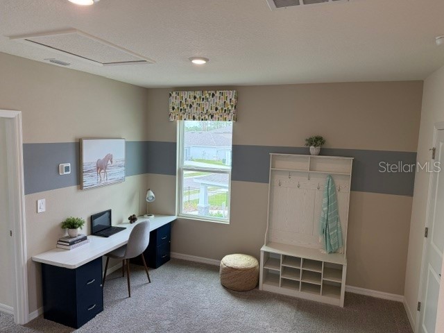 10507 Tucker Road Weeki Wachee FL 34613 W7885550 image13