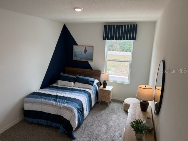 10507 Tucker Road Weeki Wachee FL 34613 W7885550 image15
