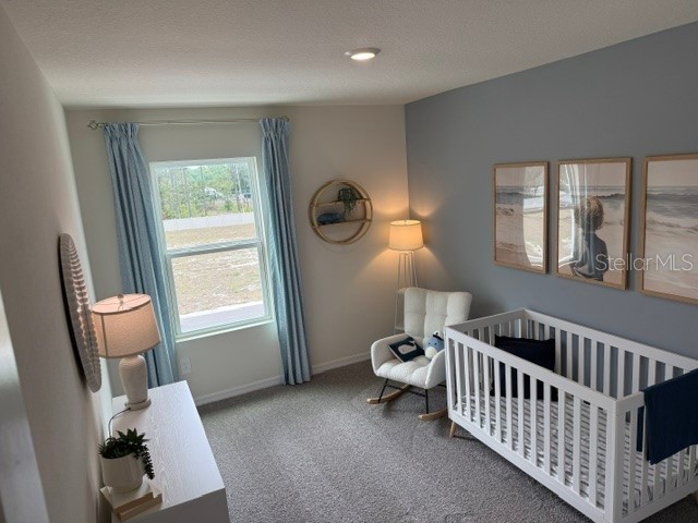 10507 Tucker Road Weeki Wachee FL 34613 W7885550 image17