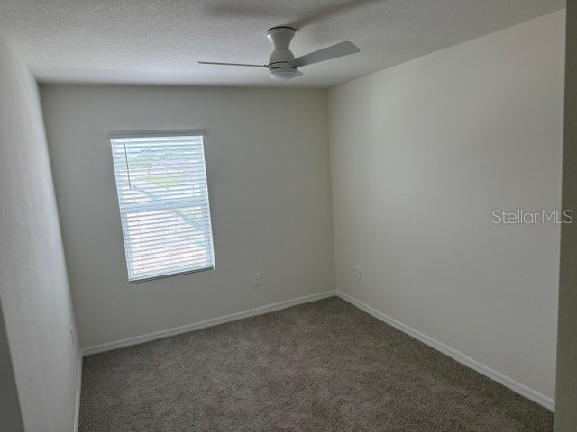 10507 Tucker Road Weeki Wachee FL 34613 W7885550 image18