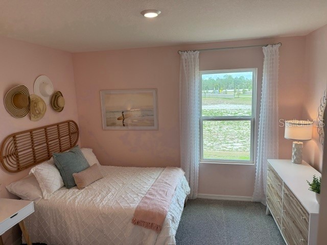 10507 Tucker Road Weeki Wachee FL 34613 W7885550 image19