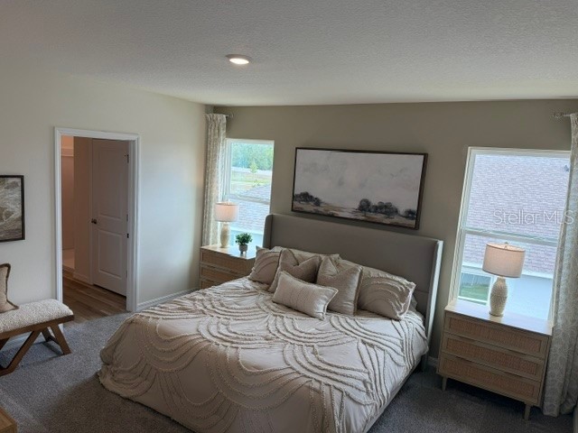 10507 Tucker Road Weeki Wachee FL 34613 W7885550 image23