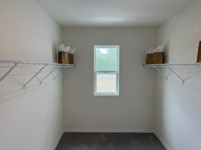 10507 Tucker Road Weeki Wachee FL 34613 W7885550 image25