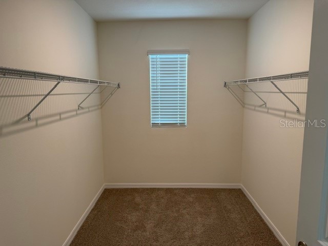 10507 Tucker Road Weeki Wachee FL 34613 W7885550 image26