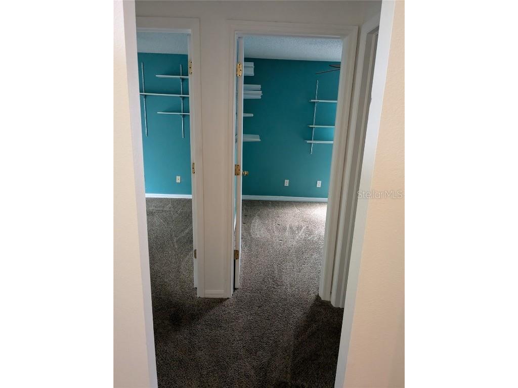 10507 Walker Vista Drive Riverview FL 33578 - COMMUNITY RETENTION POND G5102564 image14