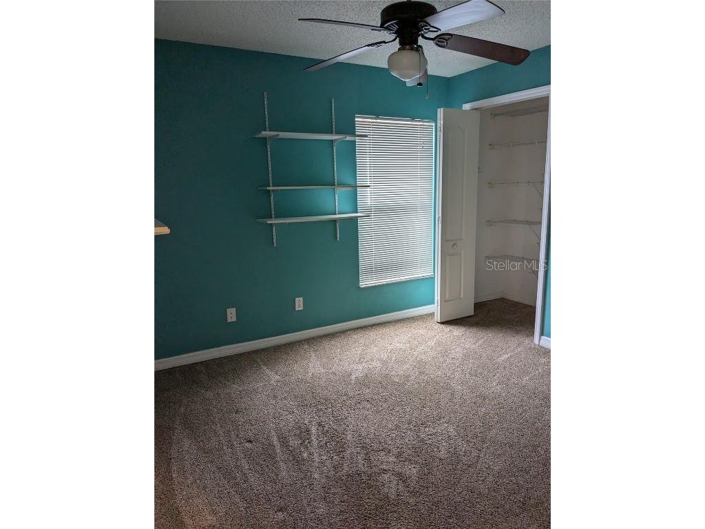 10507 Walker Vista Drive Riverview FL 33578 - COMMUNITY RETENTION POND G5102564 image16