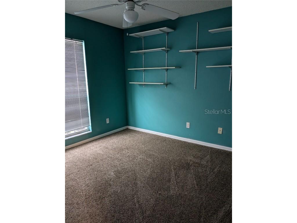 10507 Walker Vista Drive Riverview FL 33578 - COMMUNITY RETENTION POND G5102564 image21