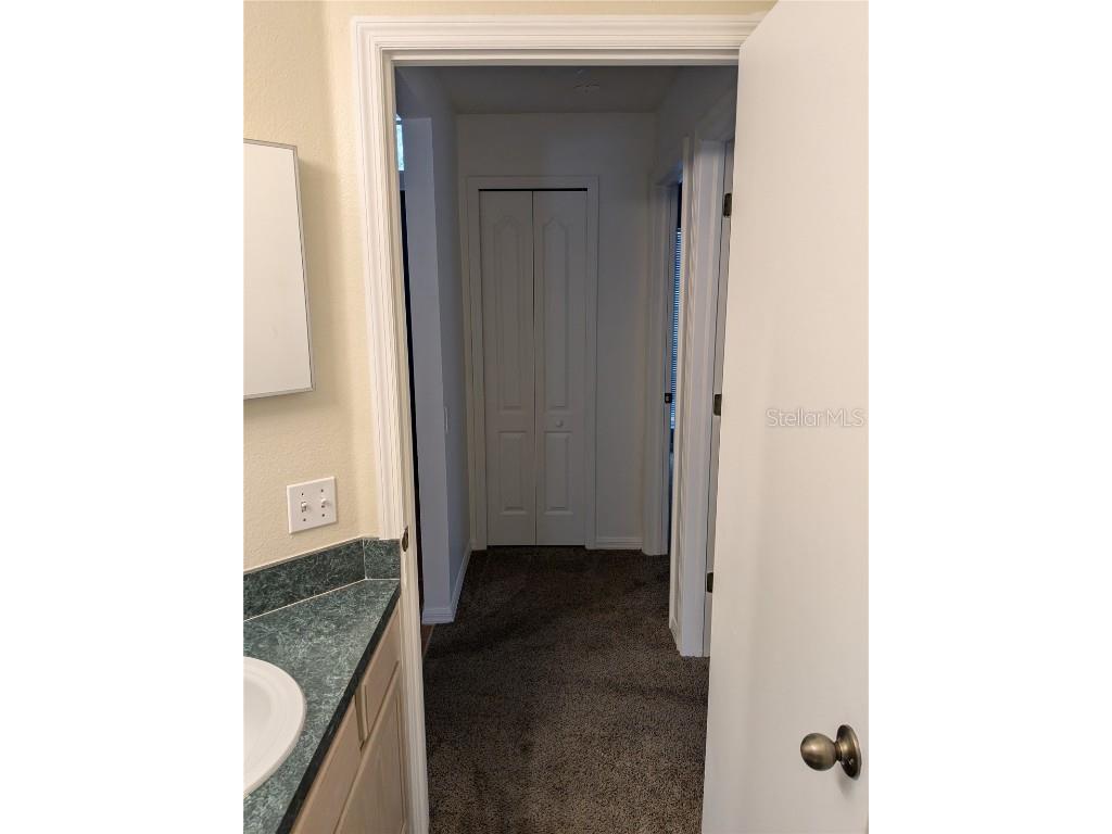 10507 Walker Vista Drive Riverview FL 33578 - COMMUNITY RETENTION POND G5102564 image23