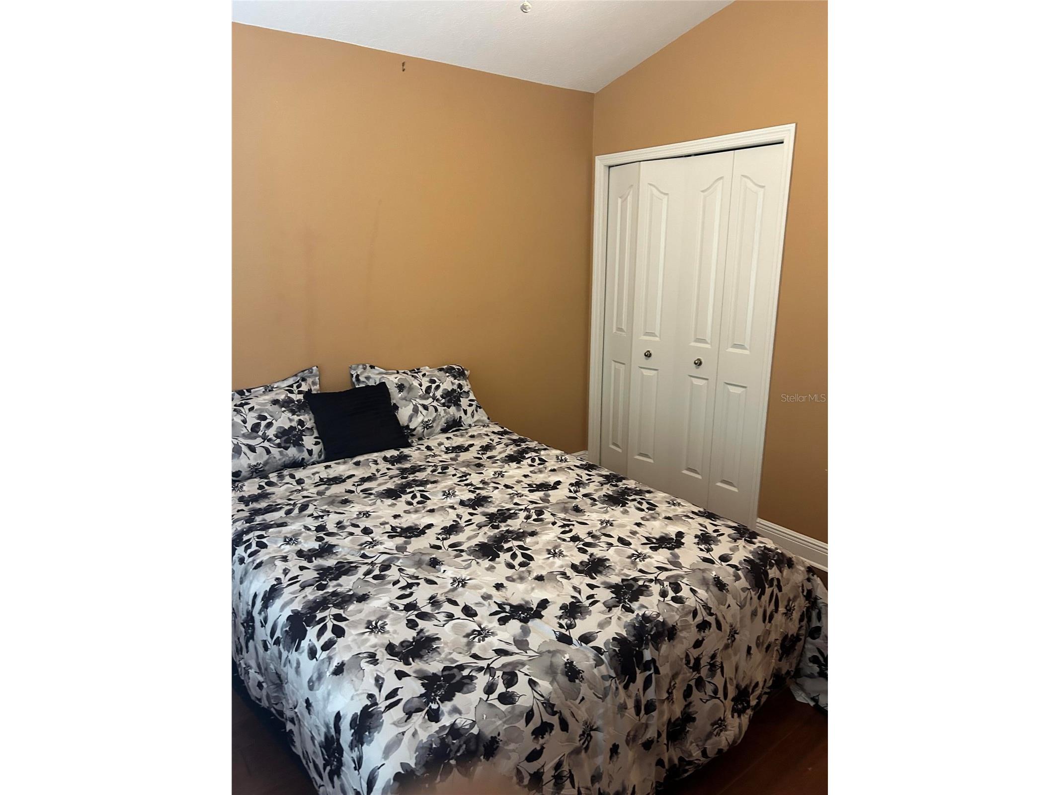 10508 Barnstable Court Tampa FL 33626 O6399521 image19