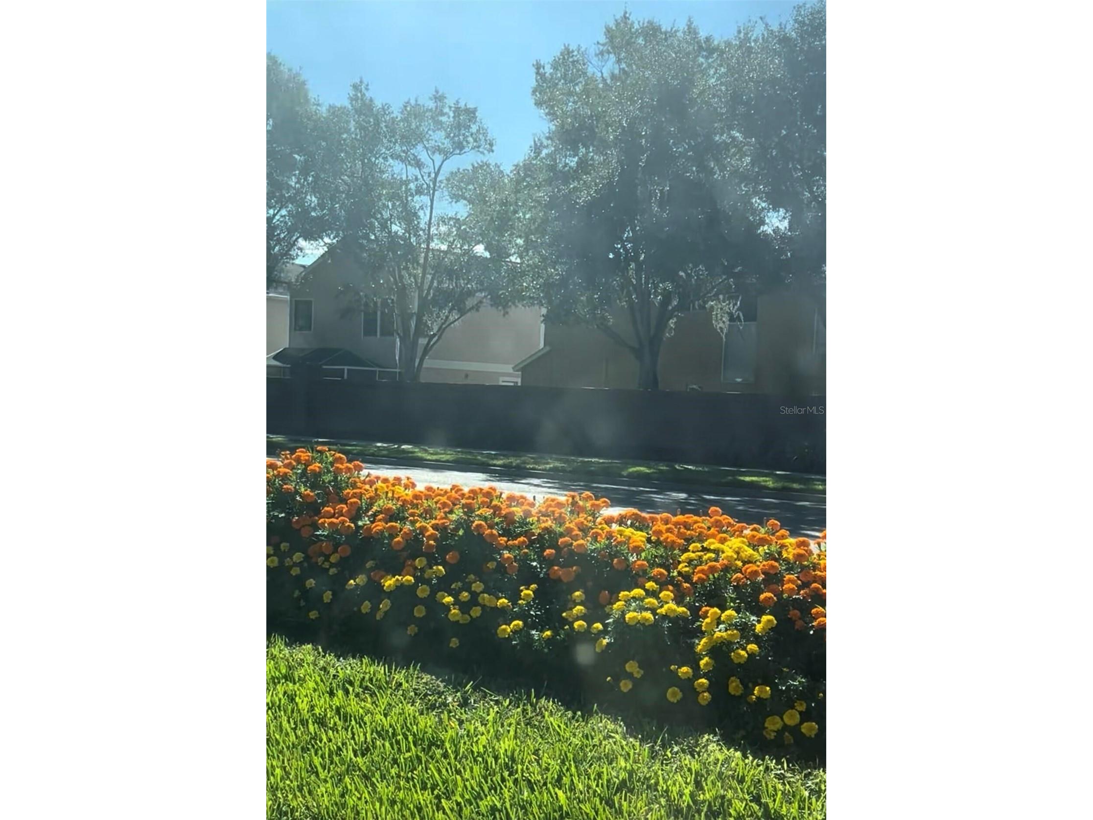 10508 Barnstable Court Tampa FL 33626 O6399521 image31