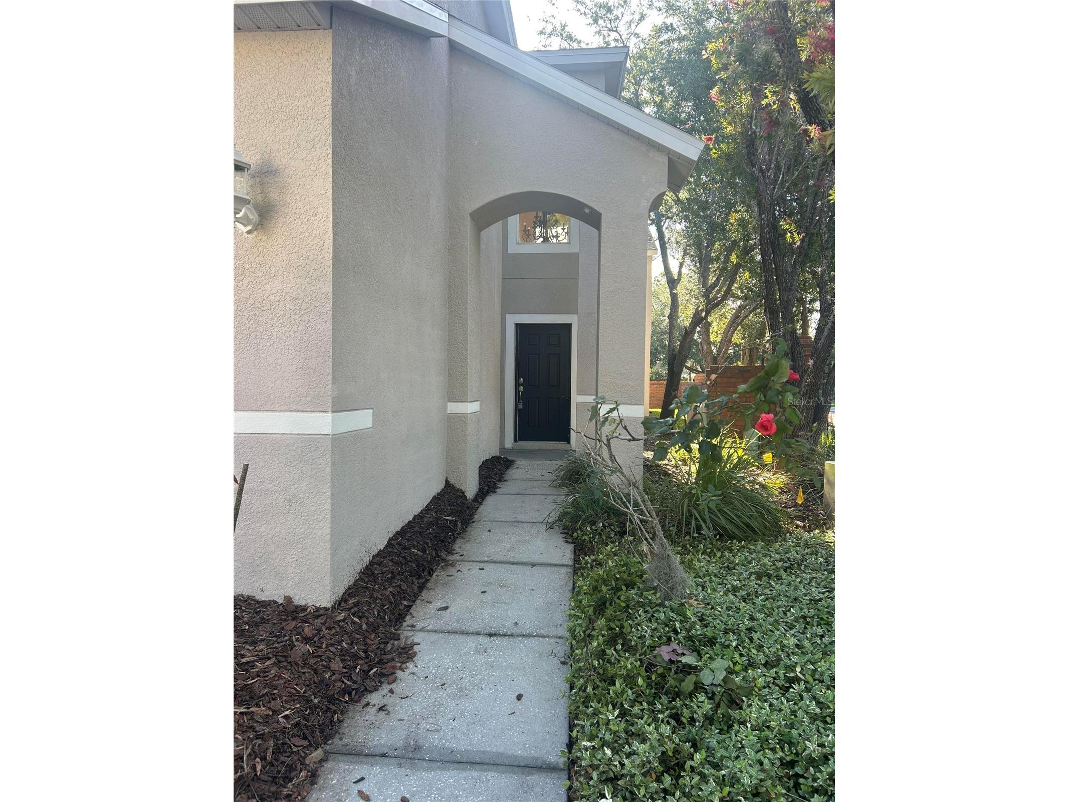 10508 Barnstable Court Tampa FL 33626 O6399521 image37