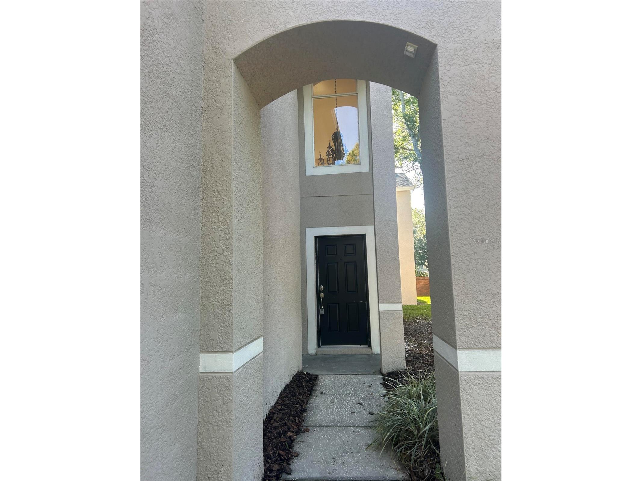 10508 Barnstable Court Tampa FL 33626 O6399521 image41