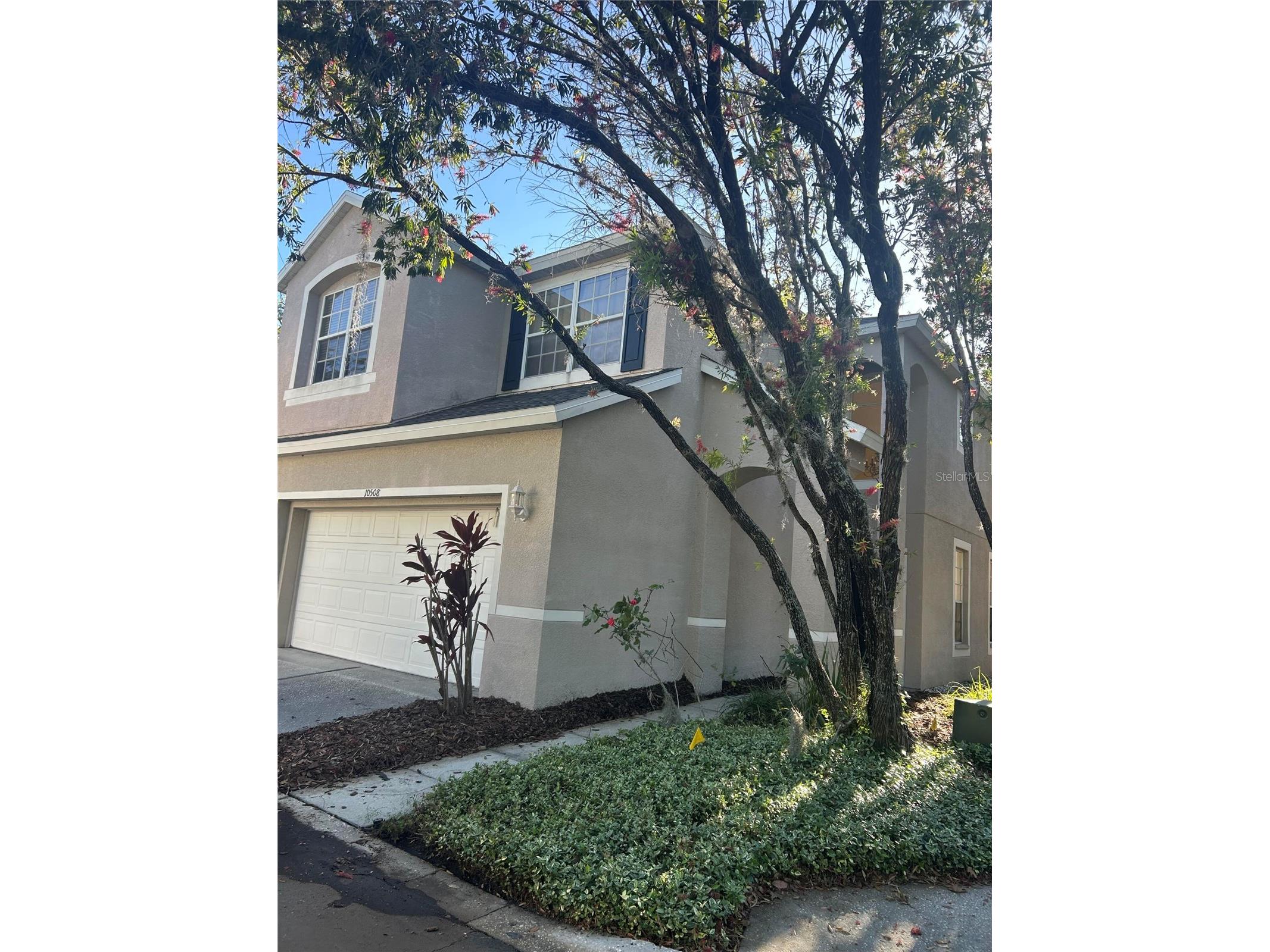 10508 Barnstable Court Tampa FL 33626 O6399521 image44