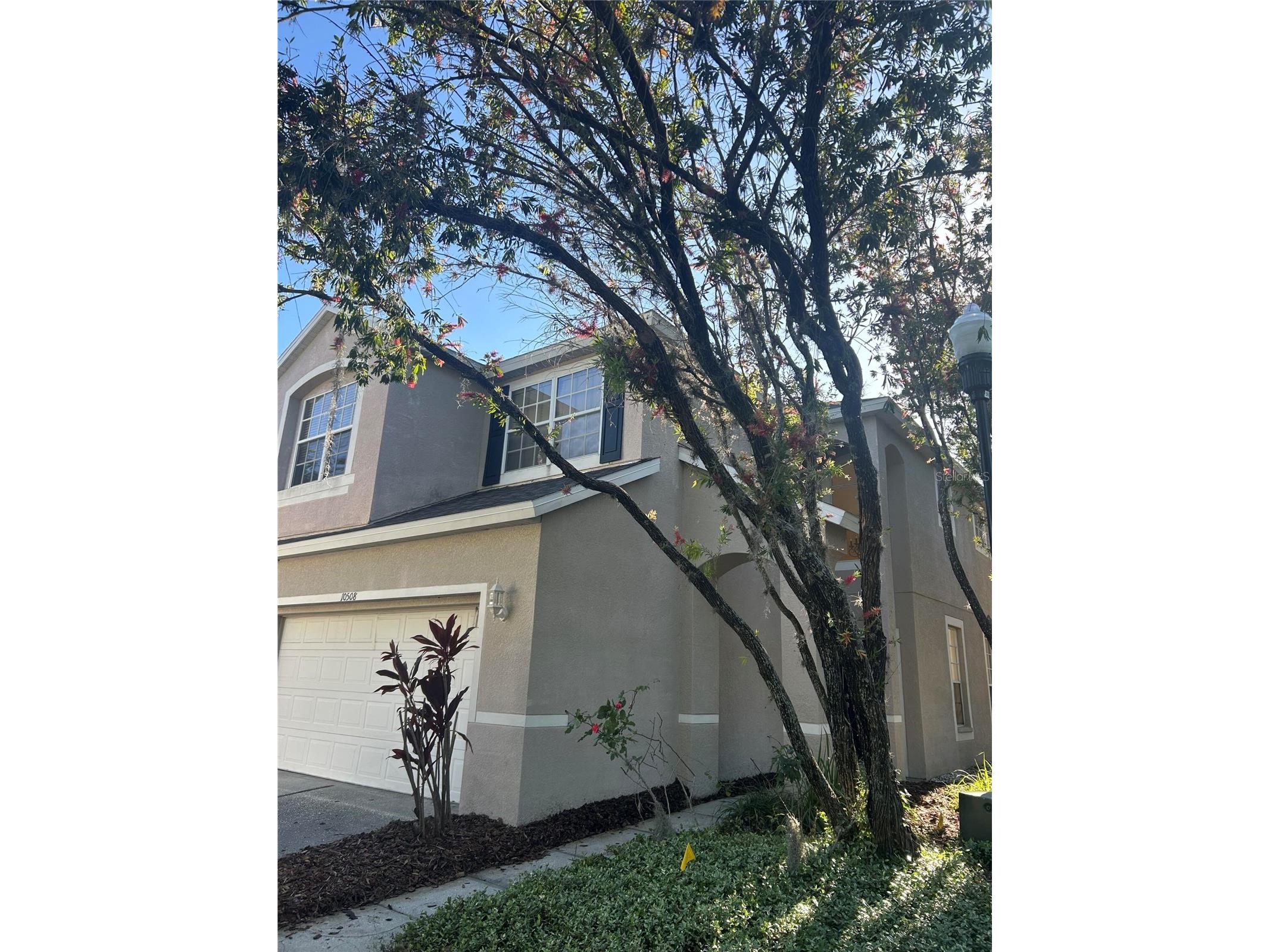 10508 Barnstable Court Tampa FL 33626 O6399521 image46