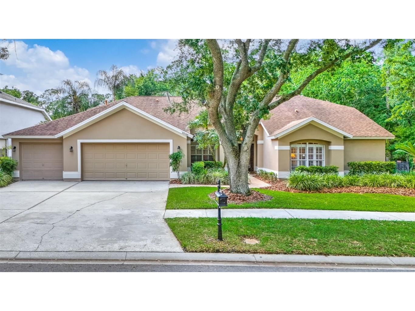 10508 Chambers Drive Tampa FL 33626 T3520958 image1