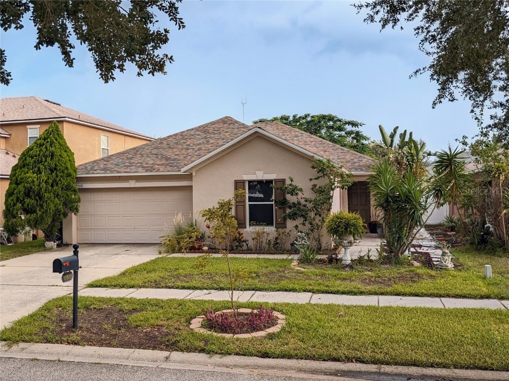 10508 River Bream Drive Riverview FL 33569 T3467207 image1