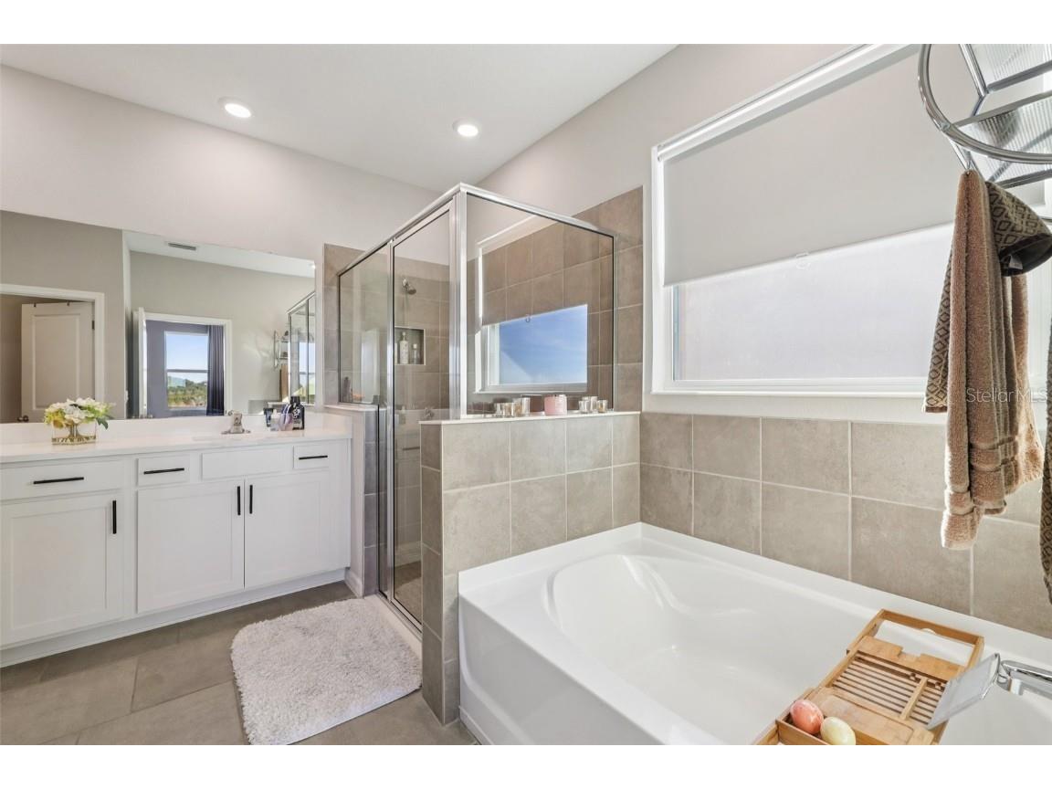 10509 Bridgegate Heights Loop San Antonio FL 33576 TB8454693 image42