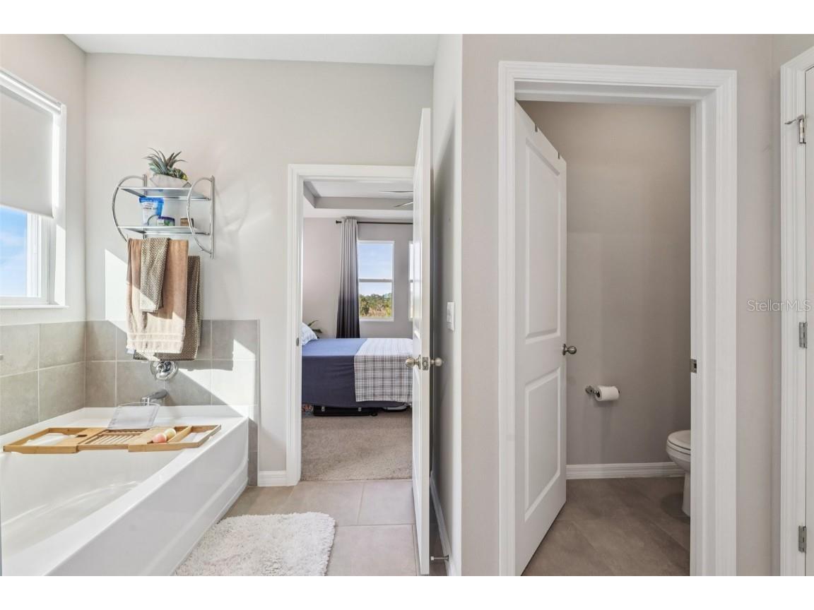 10509 Bridgegate Heights Loop San Antonio FL 33576 TB8454693 image45