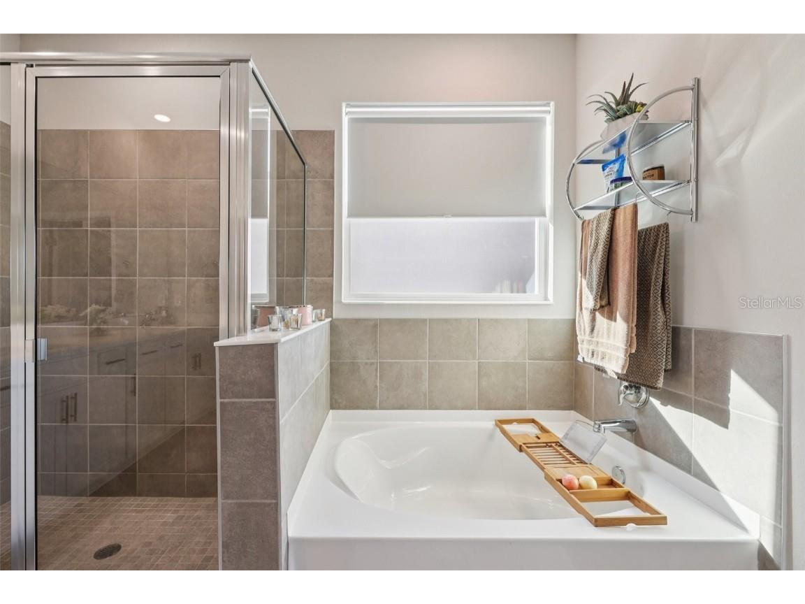 10509 Bridgegate Heights Loop San Antonio FL 33576 TB8454693 image46