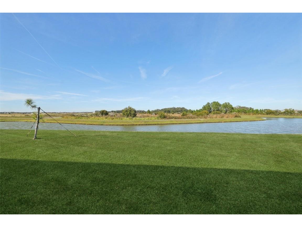 10509 Bridgegate Heights Loop San Antonio FL 33576 TB8454693 image63