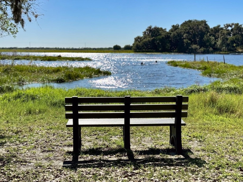 10509 Bridgegate Heights Loop San Antonio FL 33576 TB8454693 image73