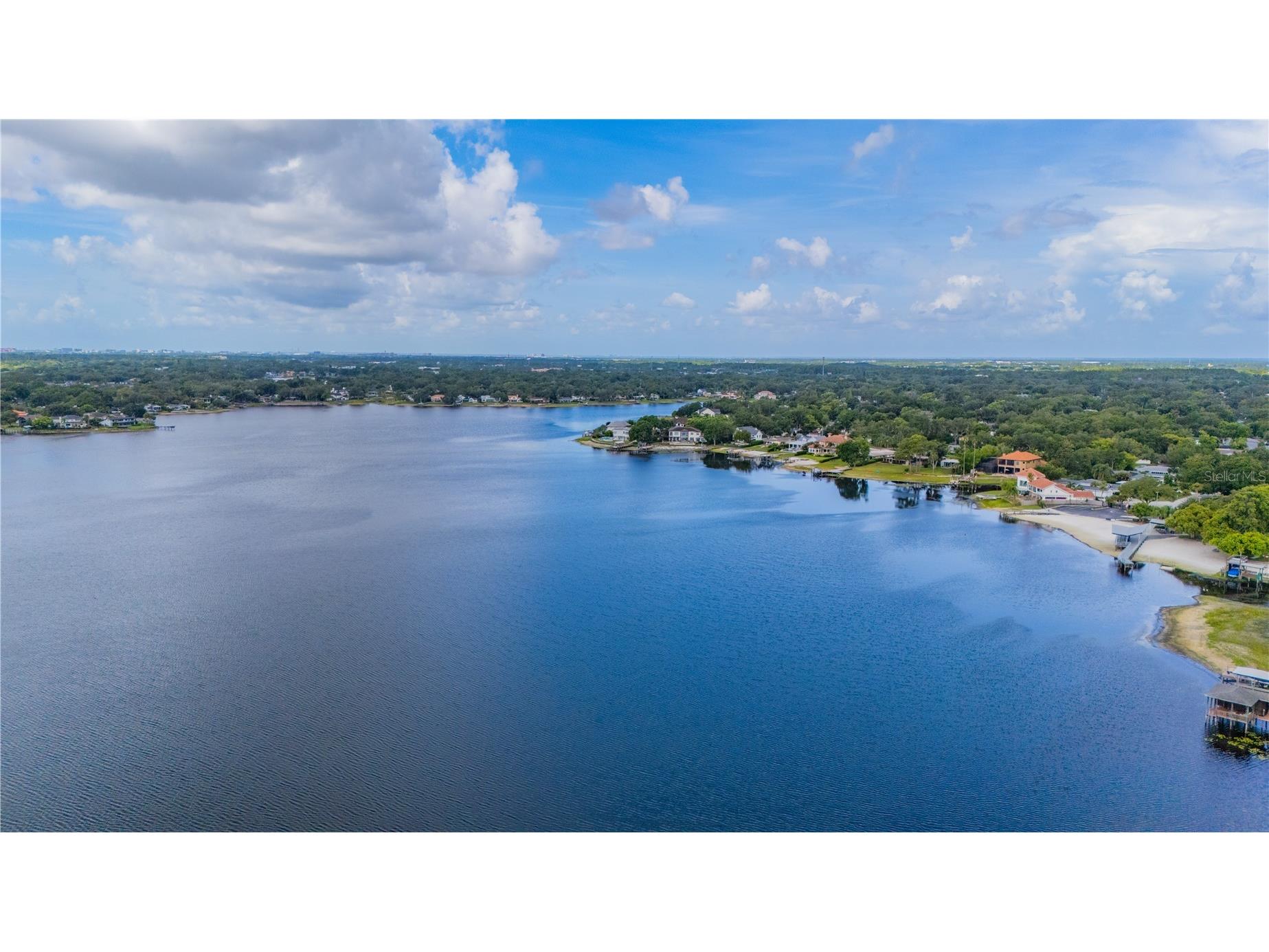 10509 Orange Grove Drive Tampa FL 33618 - LAKE CARROLL TB8526912 image37