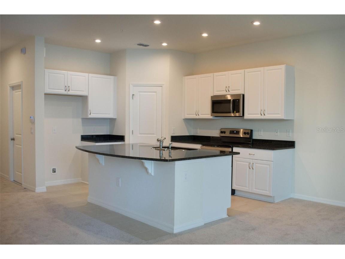 10509 Salt Grove Street Orlando FL 32824 O6353891 image4