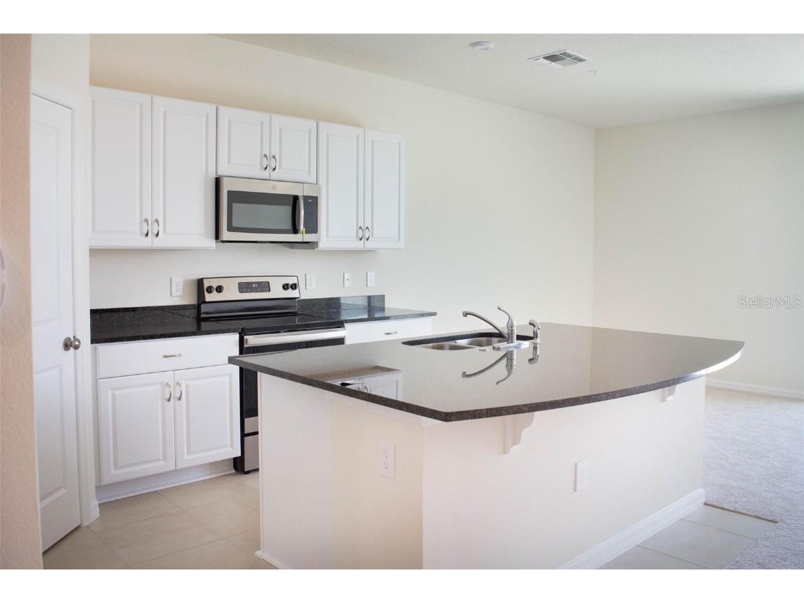 10509 Salt Grove Street Orlando FL 32824 O6353891 image6