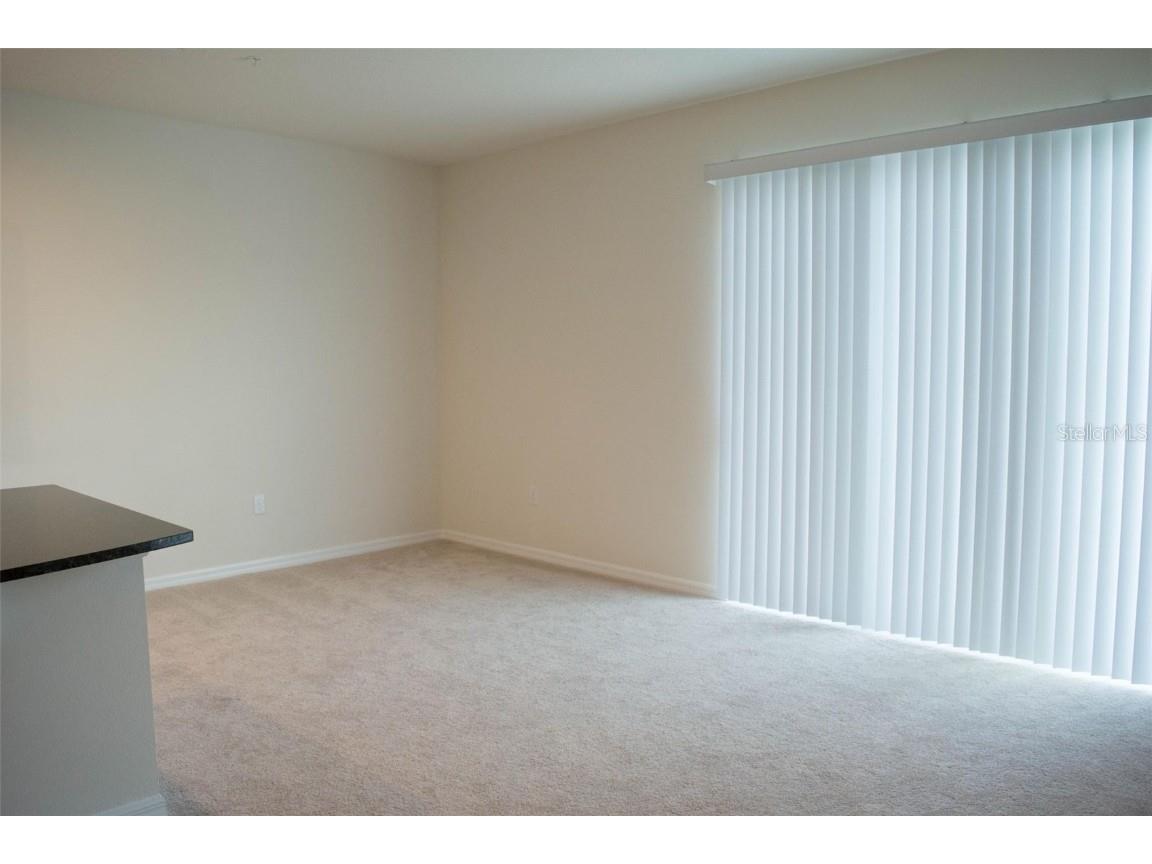 10509 Salt Grove Street Orlando FL 32824 O6353891 image9