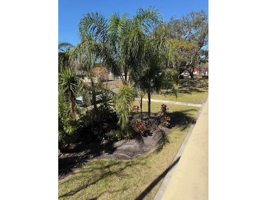 1051 79th Avenue N #202 Saint Petersburg FL 33702 TB8474197 image5