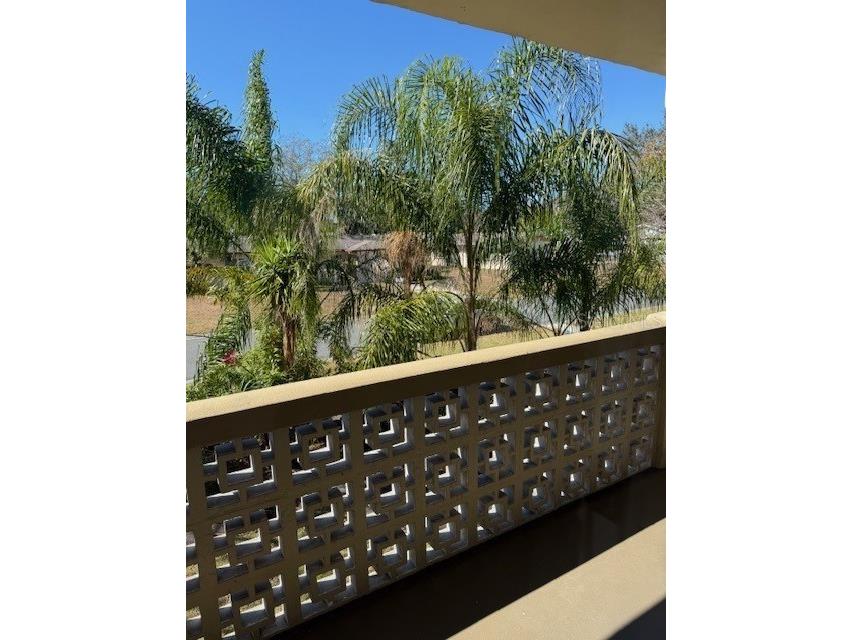1051 79th Avenue N #202 Saint Petersburg FL 33702 TB8474197 image6