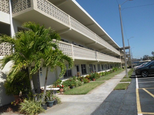 1051 79th Avenue N #205 Saint Petersburg FL 33702 U8190210 image1