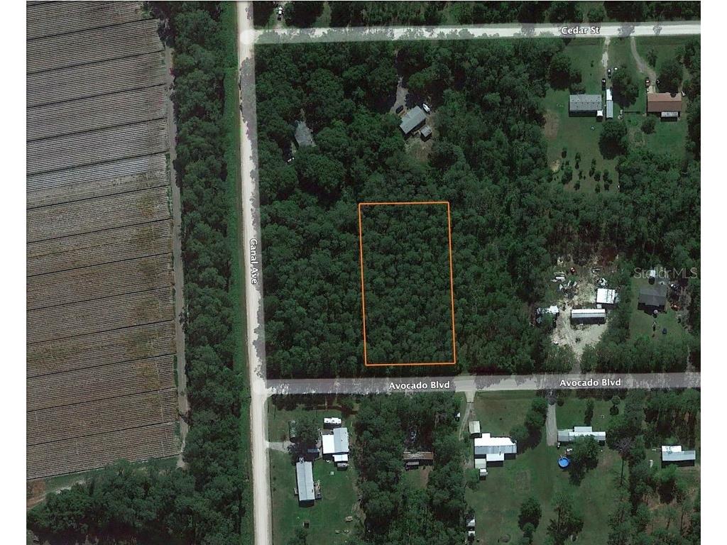 1051 Avocado Boulevard Bunnell FL 32110 TB8319654 image1