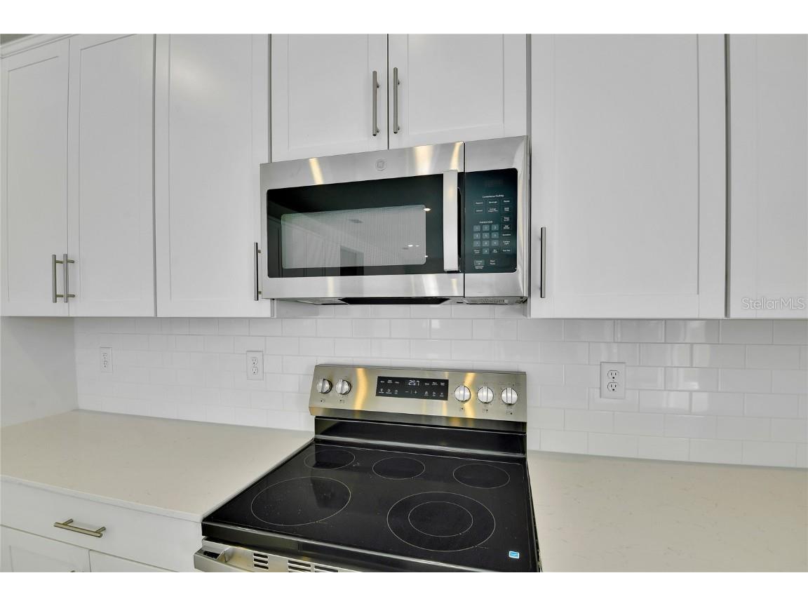 1051 Cloud Ridge Court Mount Dora FL 32757 S5127257 image4