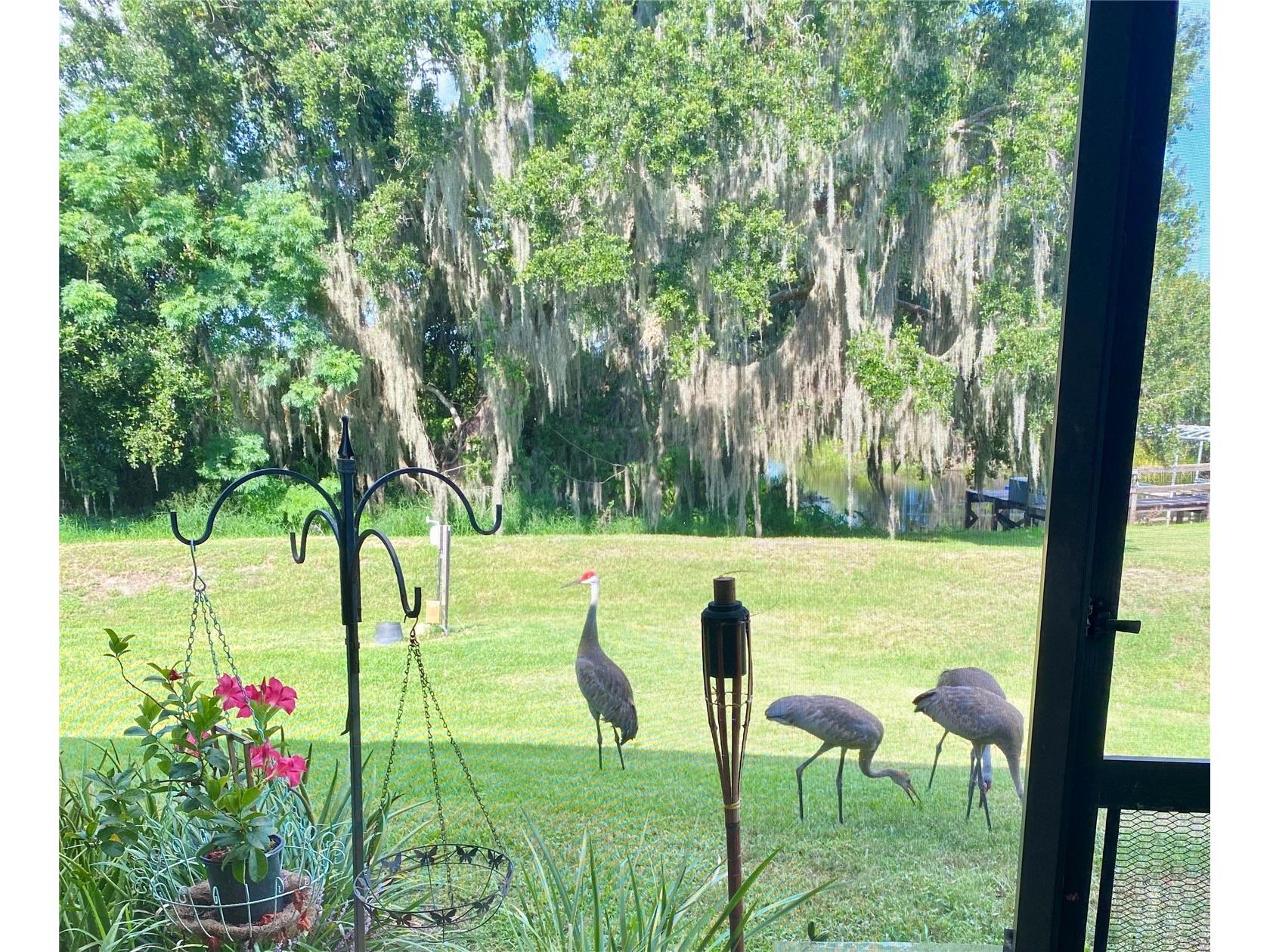 1051 Green Gate Boulevard Groveland FL 34736 G5108310 image8