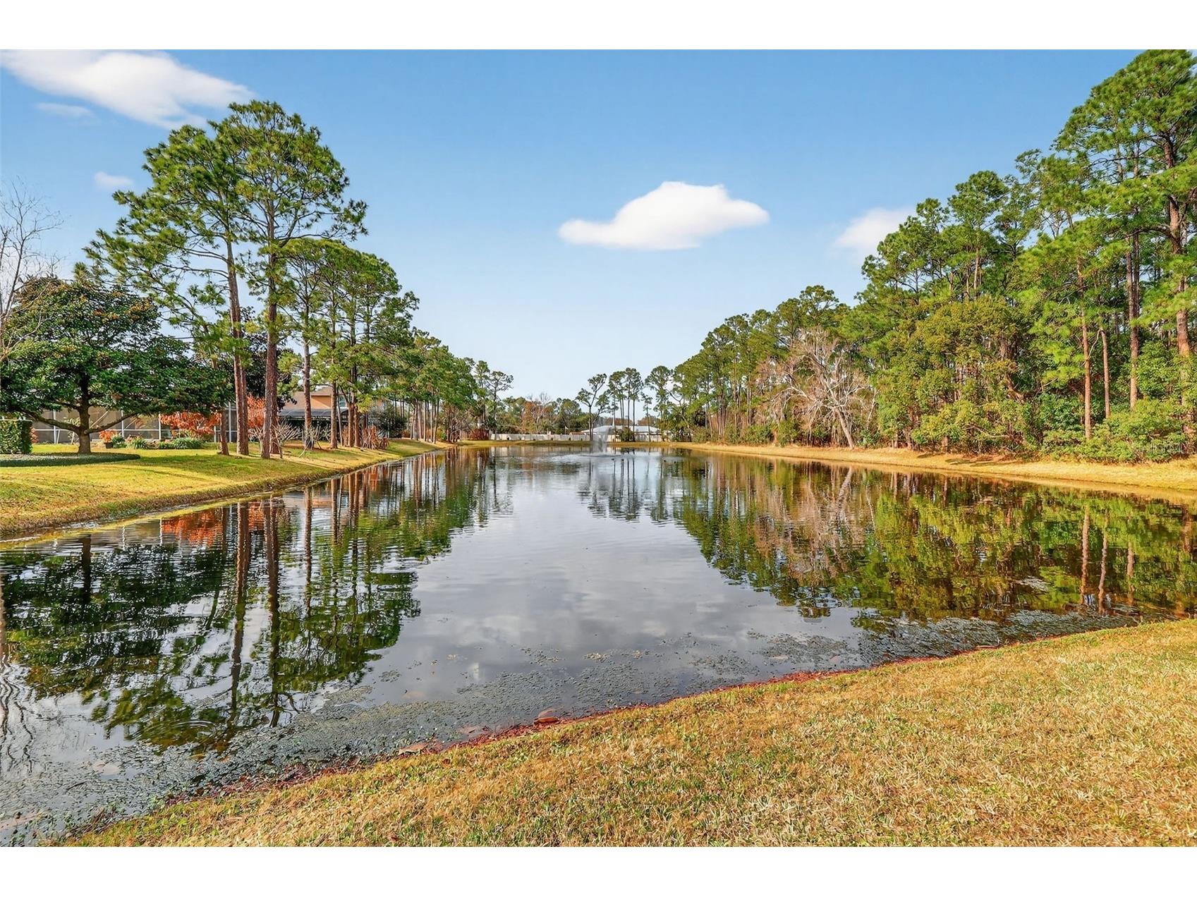 1051 Juliette Boulevard Mount Dora FL 32757 G5108553 image6