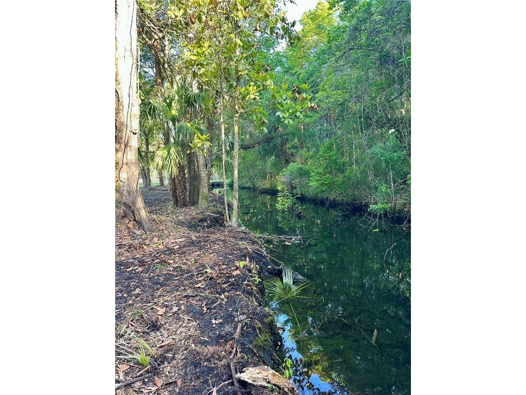 1051 N Citrus Avenue Crystal River FL 34428 OM701737 image12