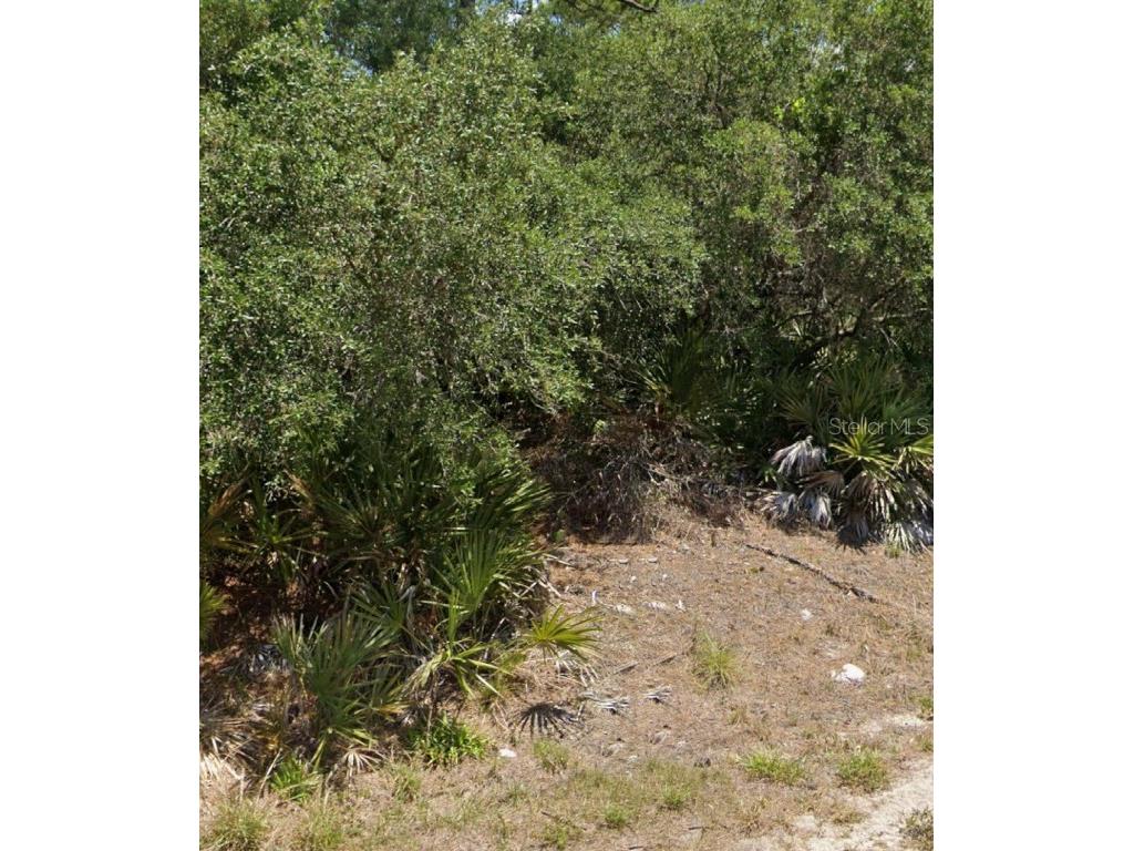 1051 Ridge Street Lake Placid FL 33852 O6249501 image1