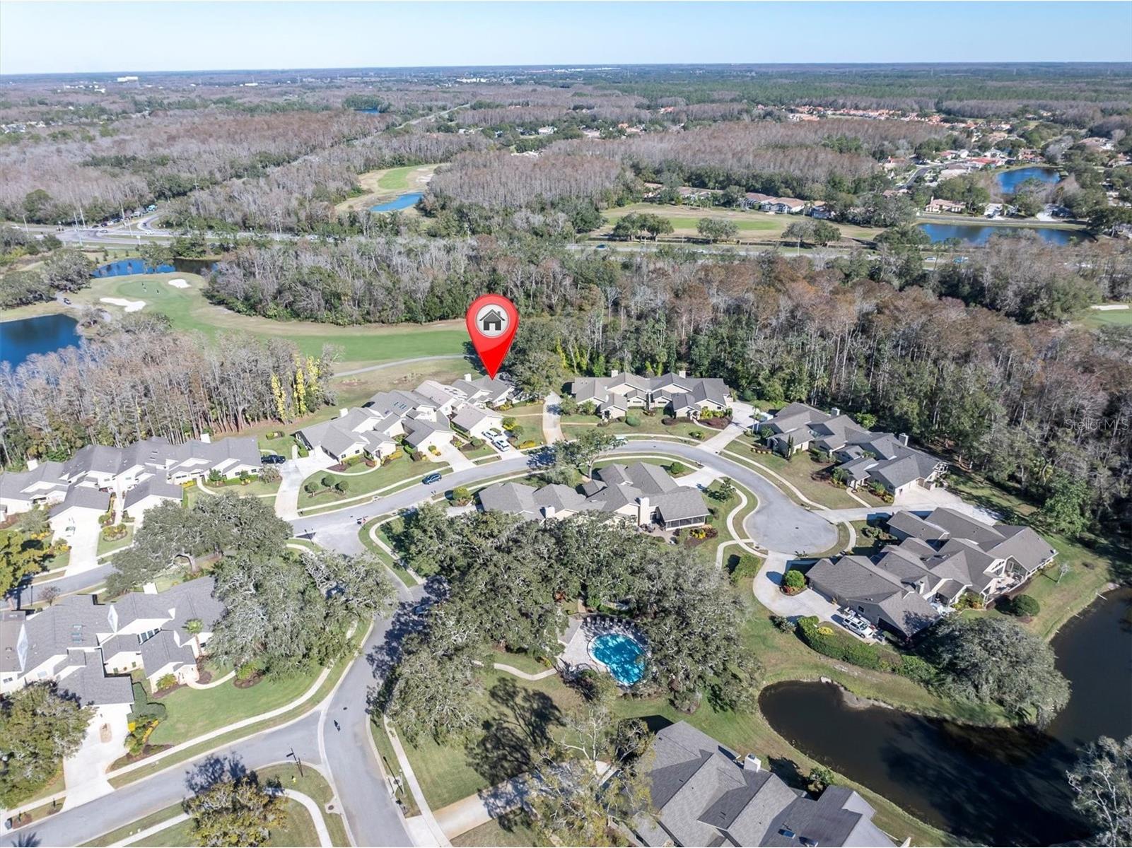 1051 Royal Troon Court Tarpon Springs FL 34688 W7882177 image3