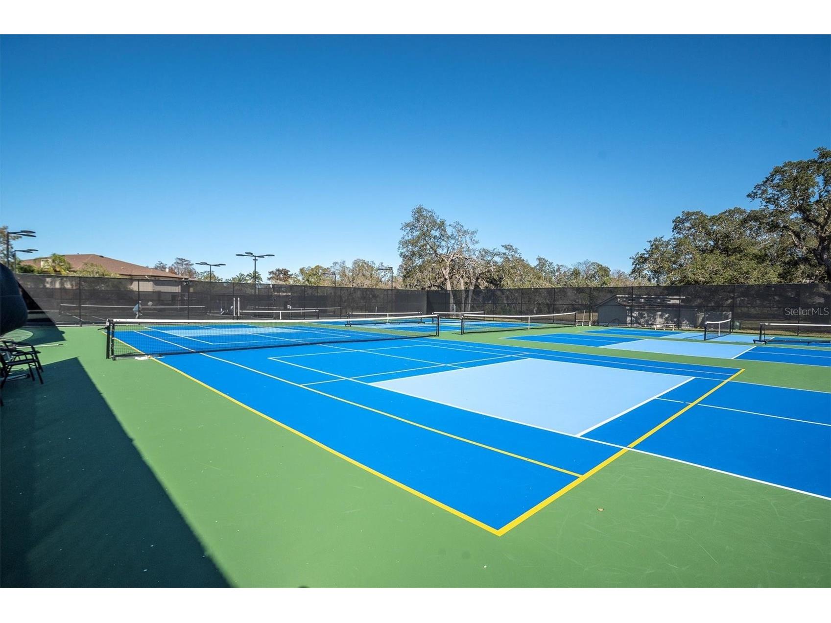 1051 Royal Troon Court Tarpon Springs FL 34688 W7882177 image43
