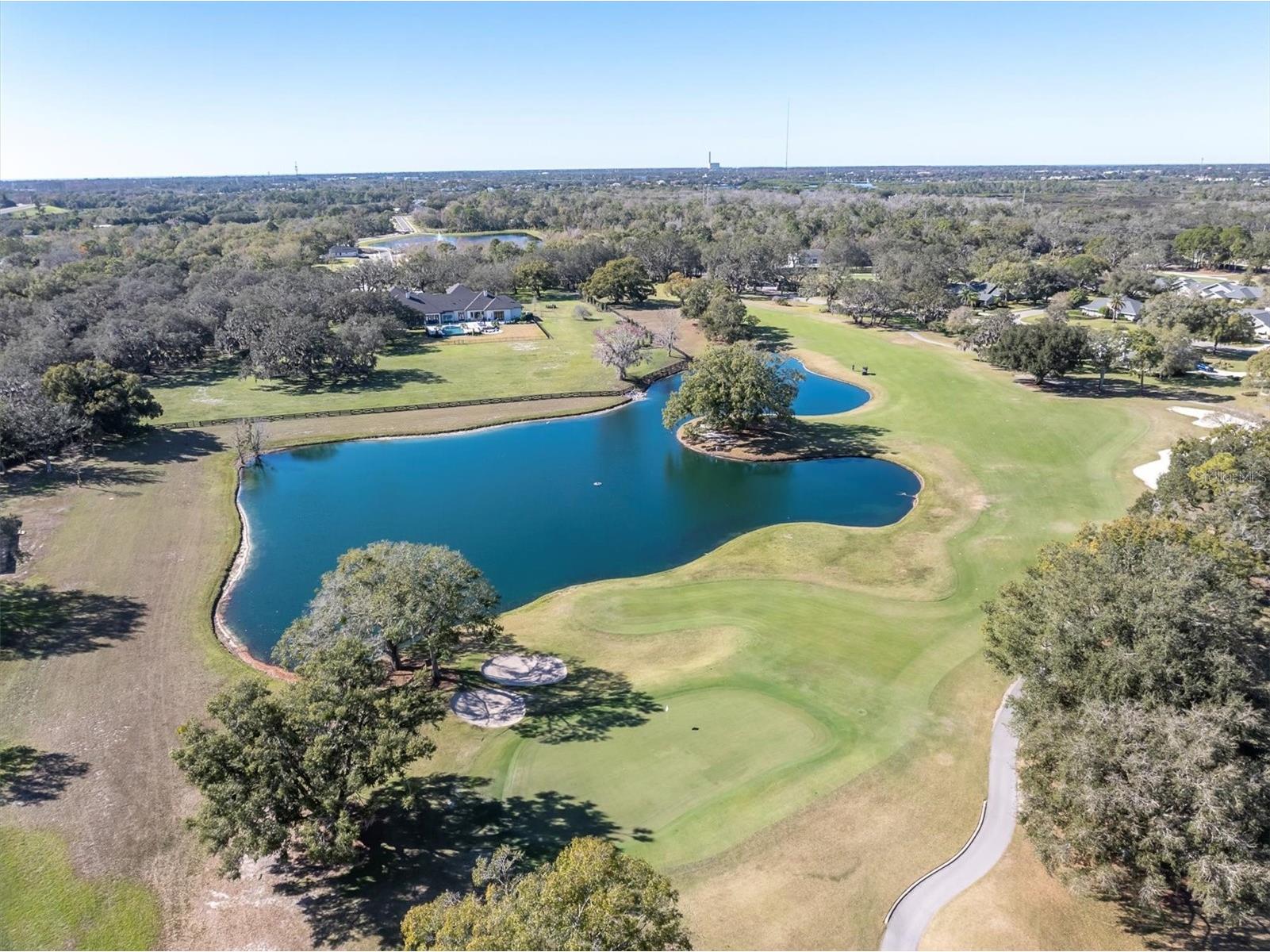 1051 Royal Troon Court Tarpon Springs FL 34688 W7882177 image45