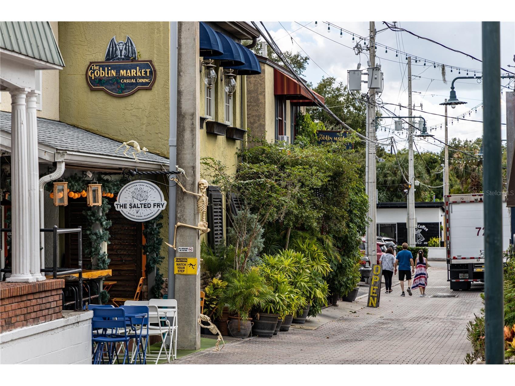 1051 S Highland Street #3B Mount Dora FL 32757 G5106535 image42